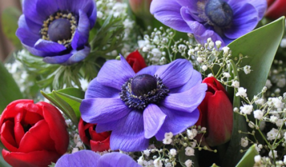 Disenos Florales I