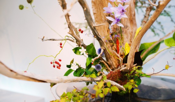 Ikebana: The Japanese Art of Flower Arrangement - Level 2: Continuing