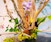 Ikebana: Japanese Art of Flower Arrangement: Level 2