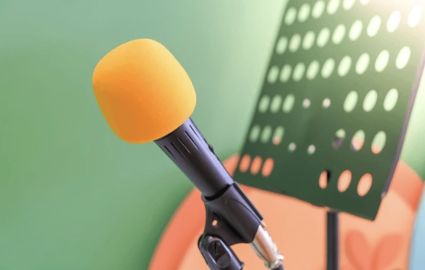 Singer's Workshop