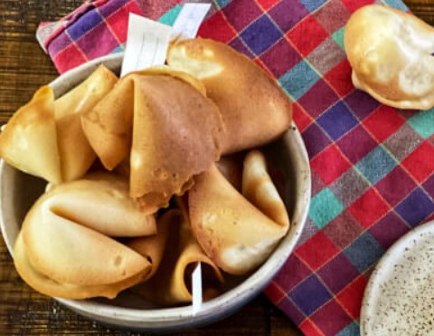 Dumpling and Fortune Cookie
