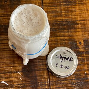 Sourdough Discard Baking