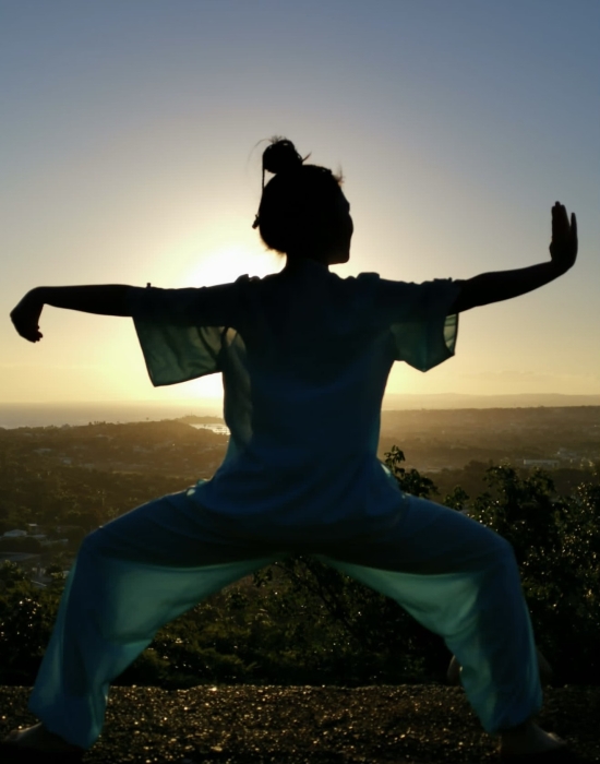 Tai Chi In-Person Beginner Group