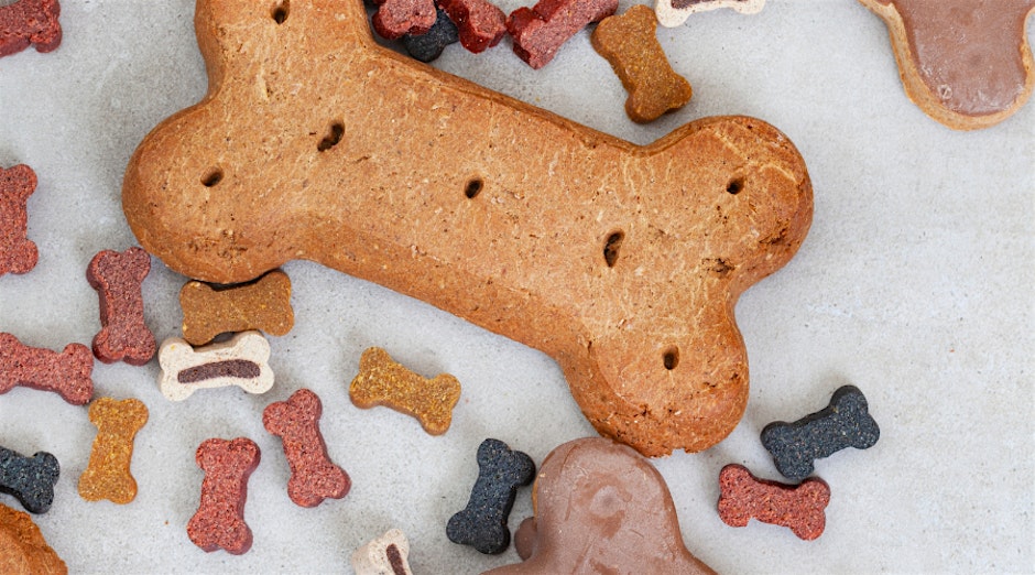 Doggy Treat Cooking