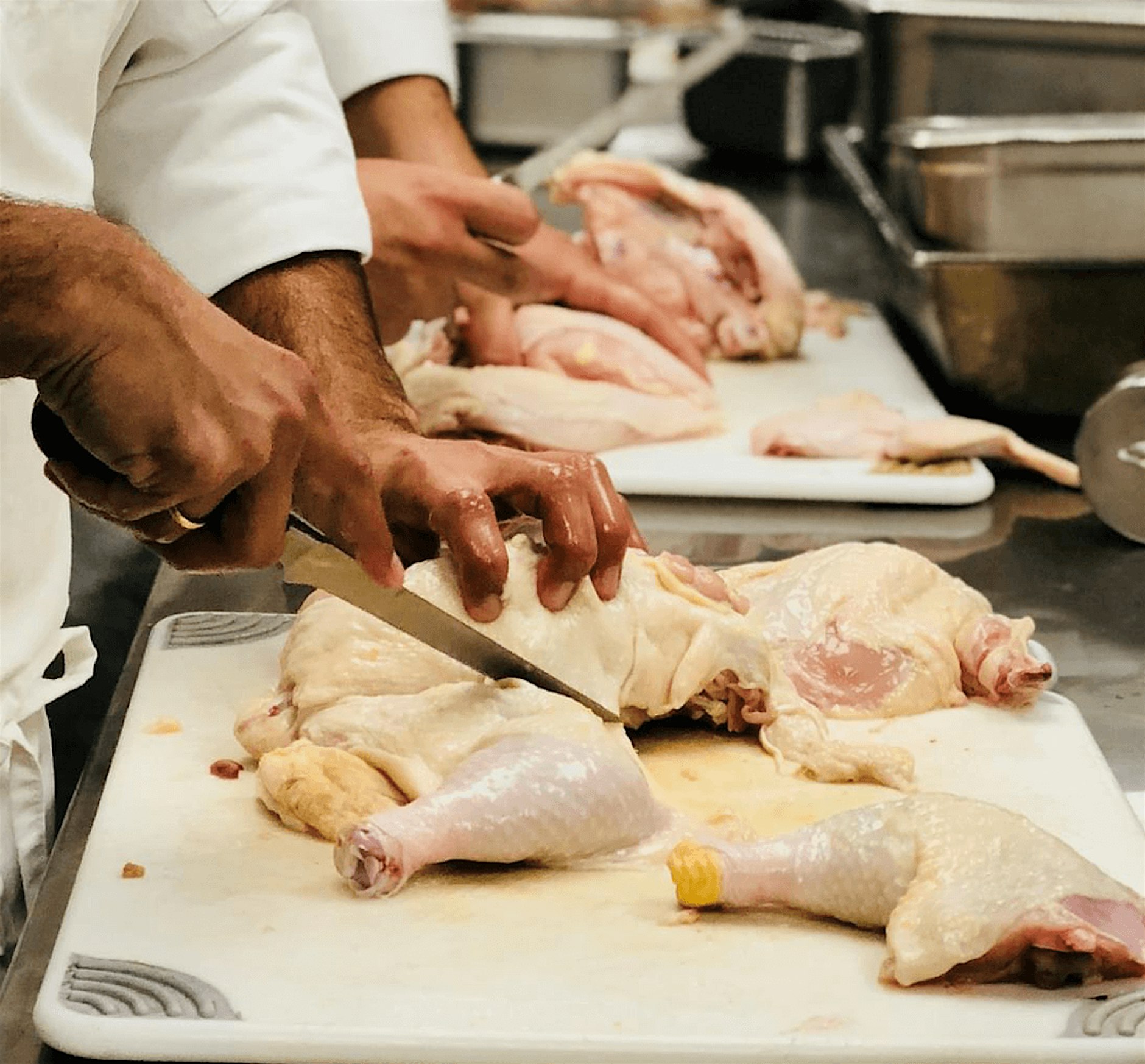 Knife Skills 2 - Butchery