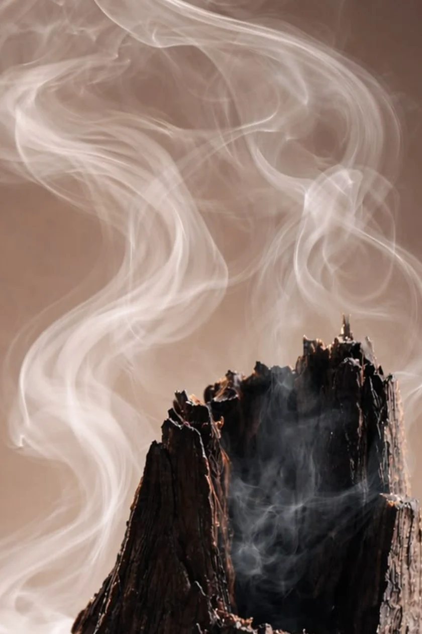 Three Woods, One Sunday: Agarwood