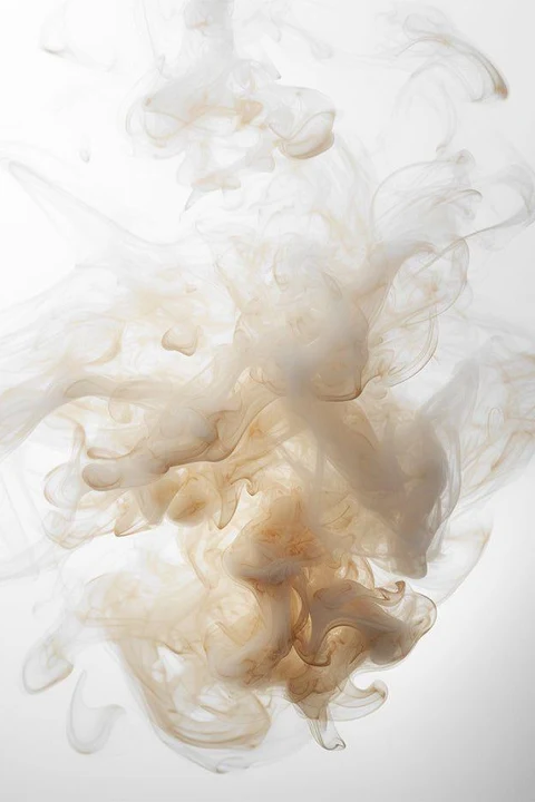 Three Animalic Modules; One Sunday, Musky: Animal, Vegetal & Synthetic