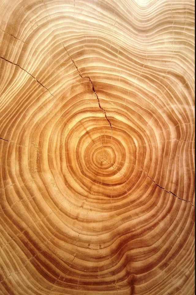 Three Woods, One Sunday: Sandalwood
