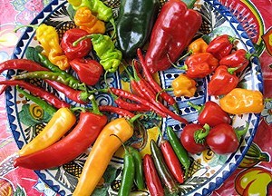 A New Mexican Feast – Cooking with Chiles & Margaritas