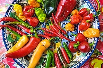 A New Mexican Feast – Cooking with Chiles & Margaritas