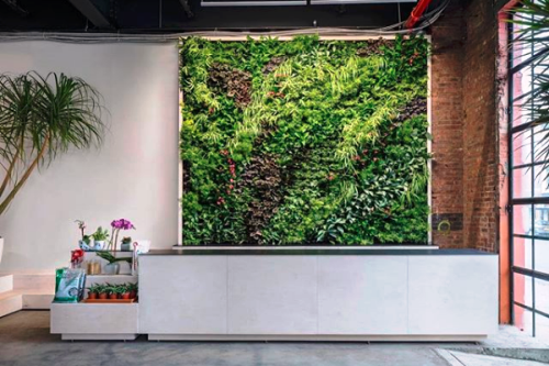 Greenery Unlimited