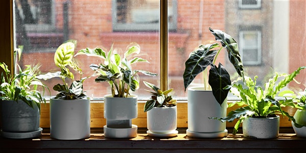 Propagation Seminar: A Workshop w/ Propagation Methods