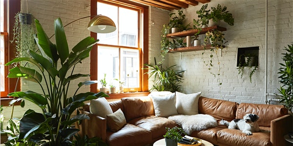 Plant Parenting: Take it to the Next Level
