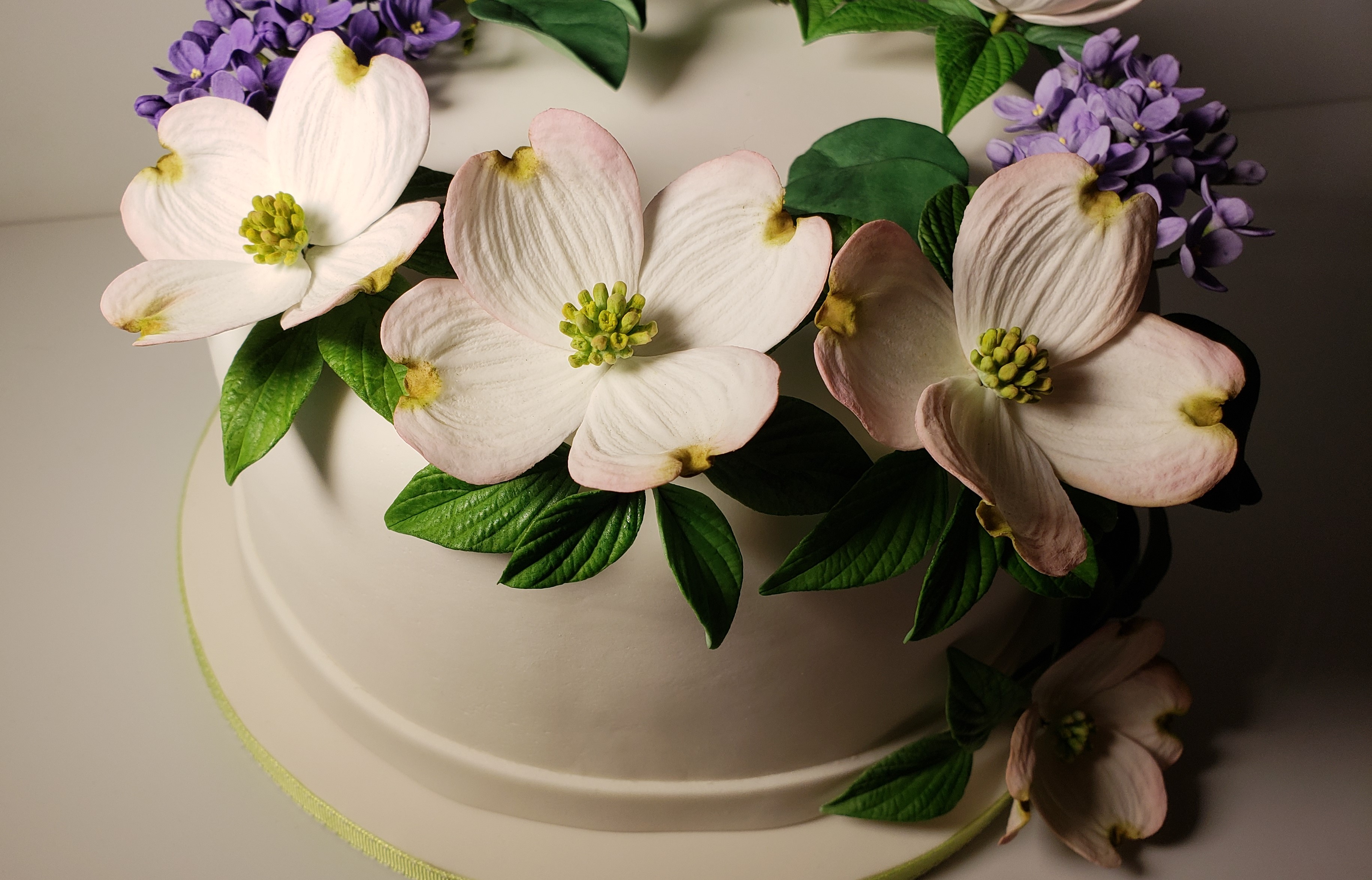 Dogwood. Sugar flowers