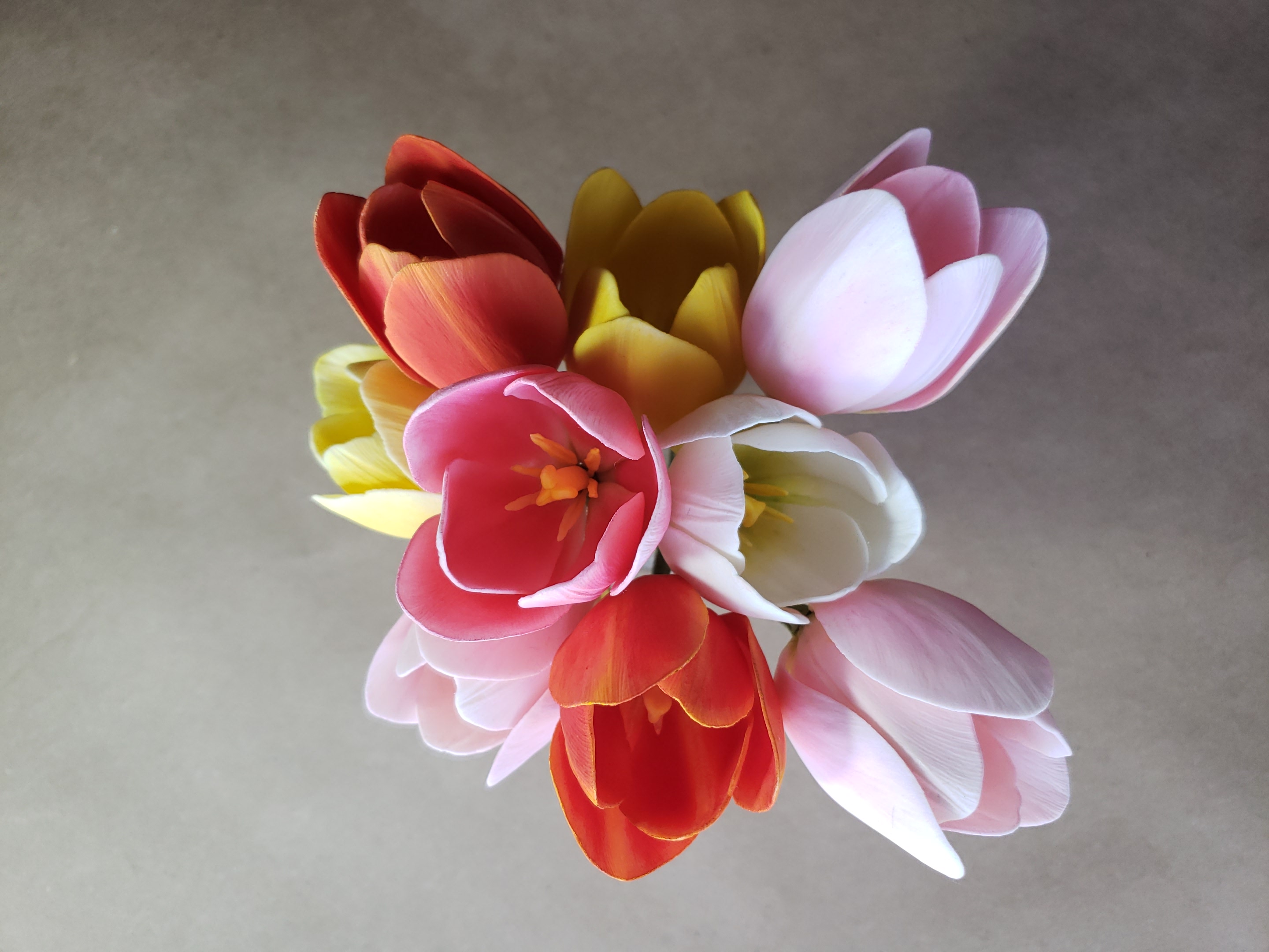 Tulip. Sugar flowers