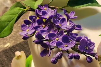 Lilac. Sugar flowers