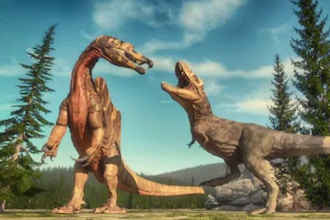 Parent & Child Preschool: Meat & Plant Eating Dinosaurs