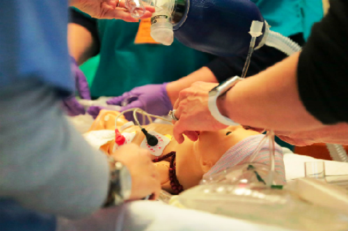 Pediatric Advanced Life Support (PALS) Certification