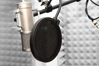 Voice Over for All Levels