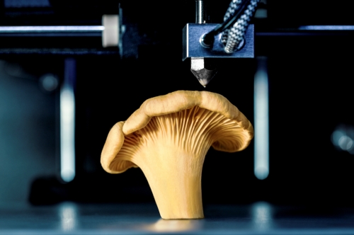3D Modeling Food