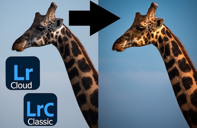 Advanced Lightroom Editing: Beyond the Basics