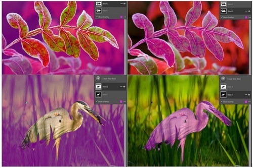 Advanced Lightroom - Powerful Masking Tools