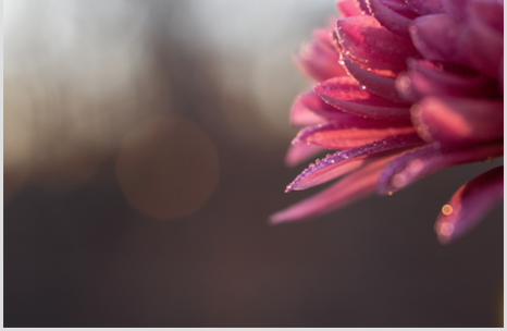 Creative Close Ups