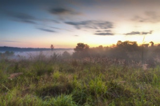 Morning On The Meadows