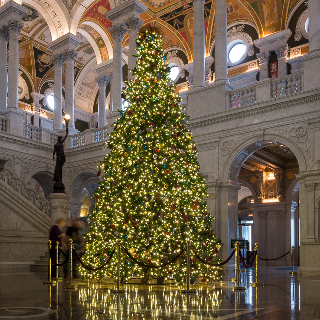Holiday Field Shoot at the Library of Congress