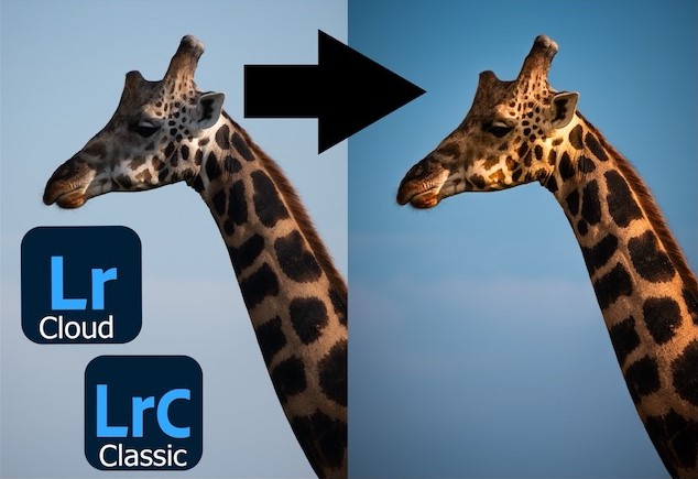 Lightroom: Beyond the Basics