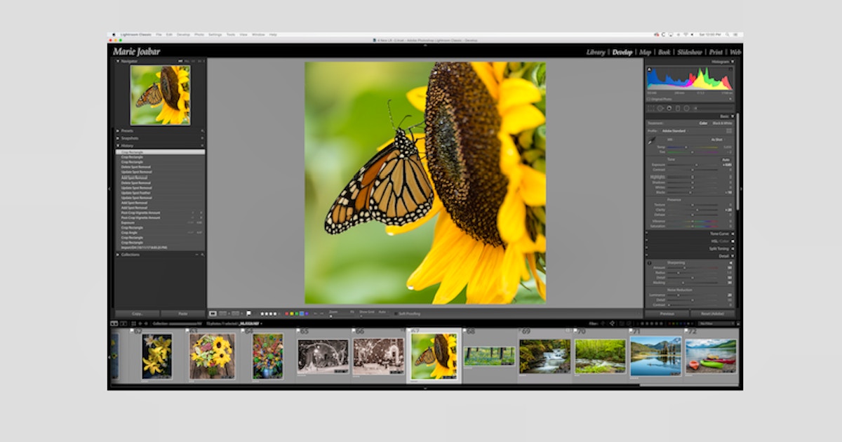 Lightroom Classic Develop Module Lightroom Classes Washington Dc Coursehorse Capital Photography Center