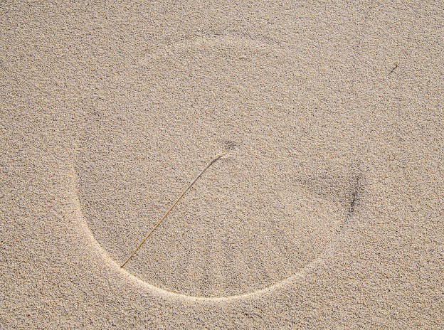 Mindful Photography