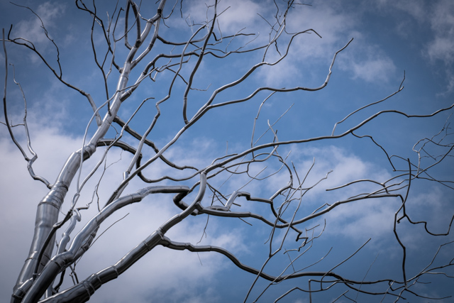 Fieldwork: Photo Basics at Sculpture Garden