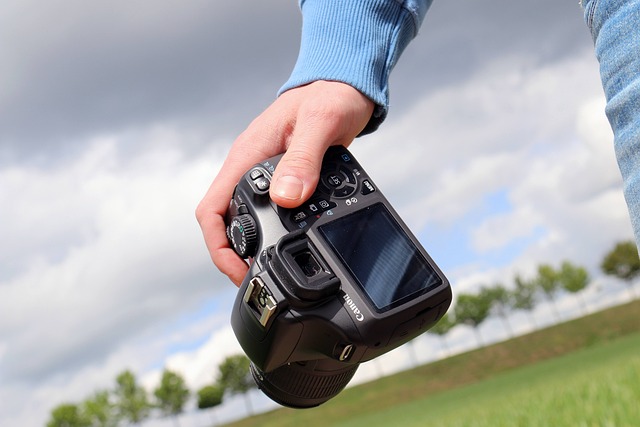 Photo Basics Part Two: Practicum