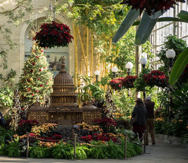 Fieldwork: Photo Basics at U.S. Botanic Gardens
