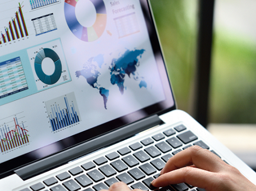 Search Engine Optimization Beginners