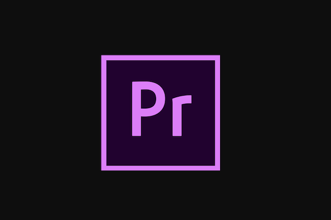 Adobe Premiere Pro Advanced (Level 2)