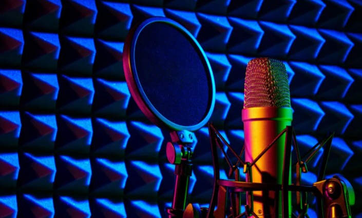 2-Week Voice-Over Intensive with Andy Roth