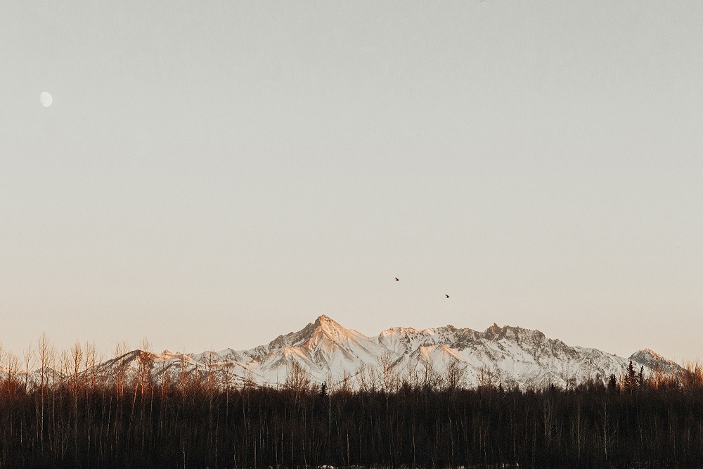 Photography I - Beginner Photography Classes Houston, TX 