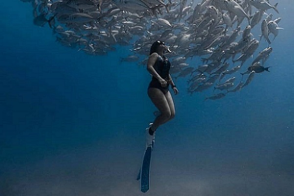 Fins and Foam Freediving