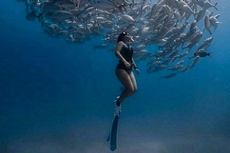 Fins and Foam Freediving
