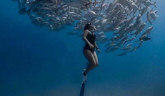 Fins and Foam Freediving