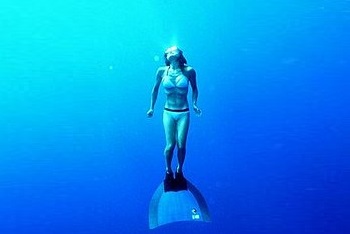Fins and Foam Freediving
