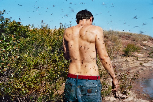 The Provocative Photograph: Crafting Compelling Visual Narratives