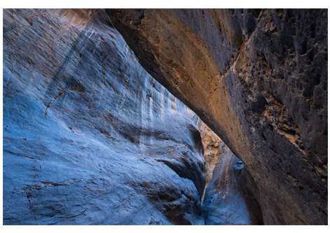 Nature and Landscape Photography
