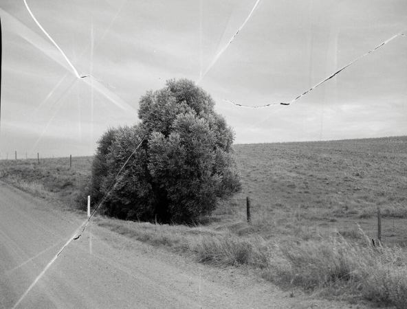 The Work Before the Work: Idea-Building Using Photographs and Words