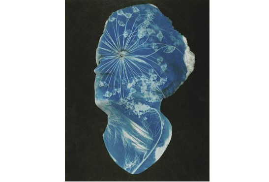 Illuminating Metaphor in Practice and Presentation with Barbara Ciurej & Lindsey Lochman