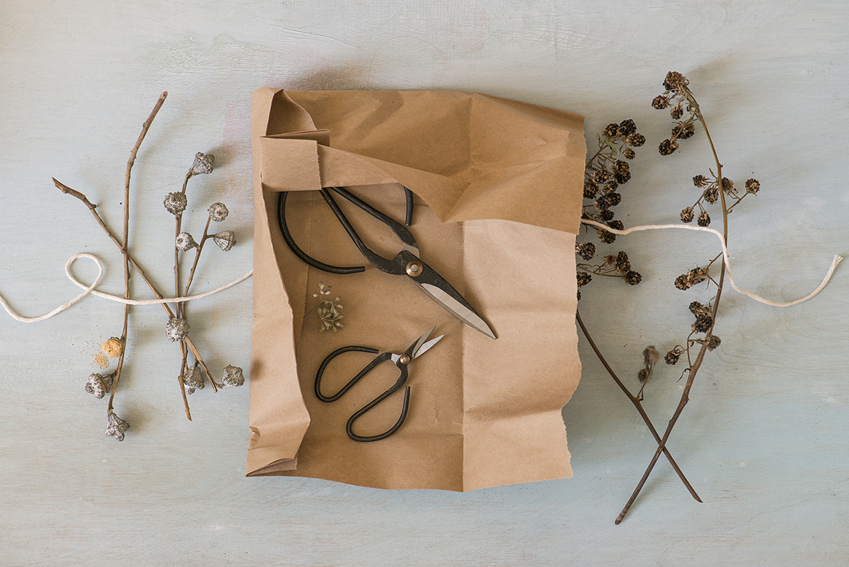 Still Life Photography