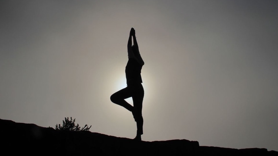 alignment-based hatha yoga book alignment-based hatha yoga book