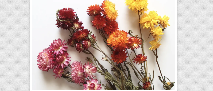 Floral Design: Fresh Market Flowers